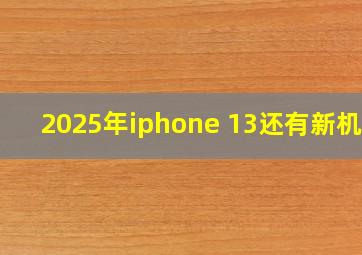 2025年iphone 13还有新机吗